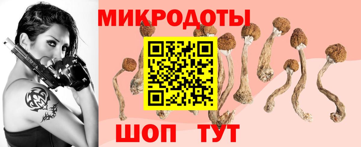 Ступино  Галлюциногенные грибы GOLDEN TEACHER  Вход с VPN 